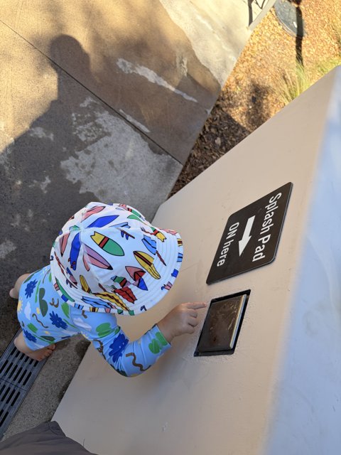 Curious Exploration