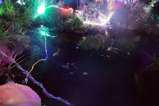 Enchanted Aquatic Glow