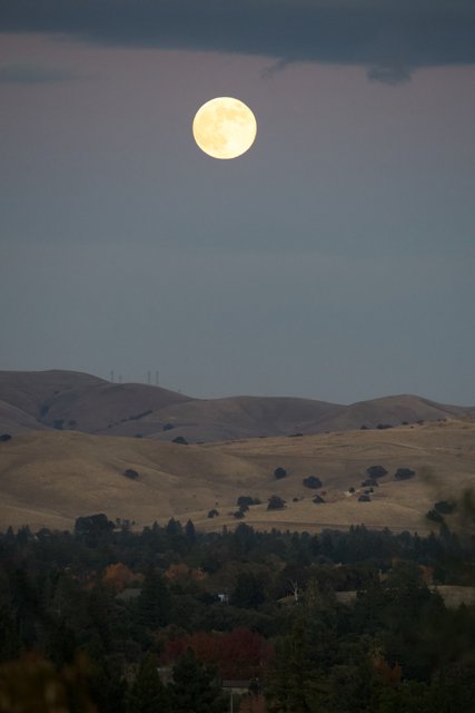 Lunar Majesty Over Walnut Creek