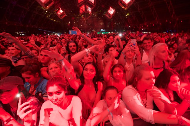 Quentin Tarantino enjoys the electrifying night life