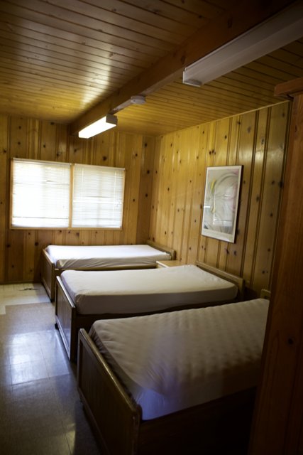 Three Beds in a Hardwood Panel Room