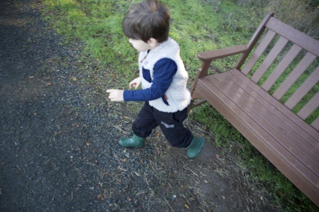 A Stroll Through Thistlewyck