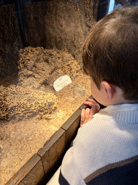Young Explorer's Fascination