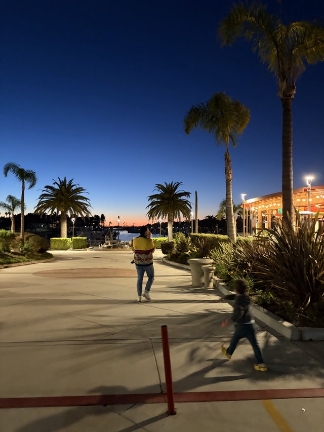 Children Playing at Sunset on Palm-Lined Waterfront Plaza