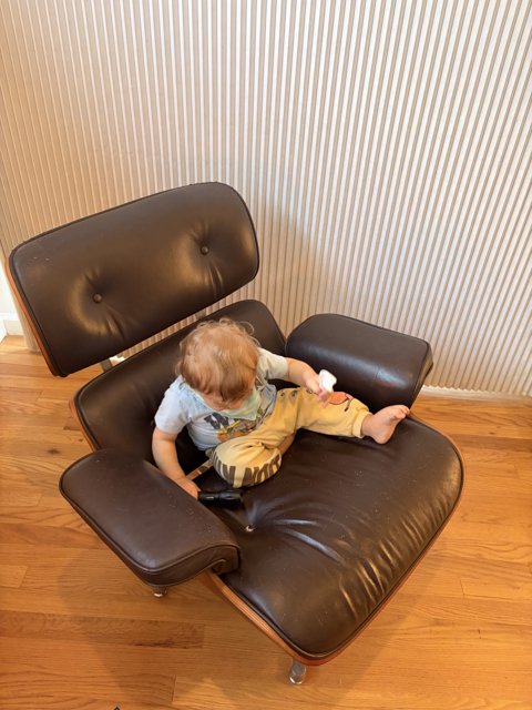Cozy Moments in a Comfy Chair