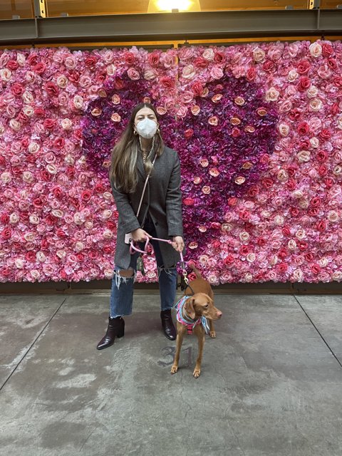 A Floral Walk with My Furry Friend