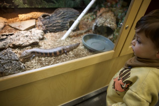 Captivated by Creatures: A Visit to Lawrence Hall of Science
