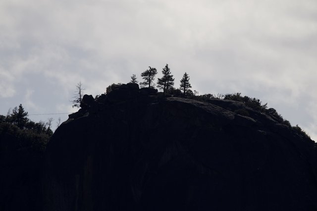 Silhouetted Rocky Summit with Evergreens at Dusk