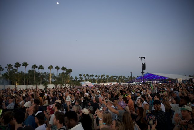 Electric Evenings: Coachella 2024 Weekend Extravaganza