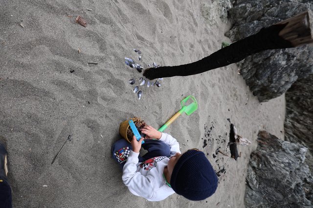 Young Explorer Plays in the Sand by Rocky Shore