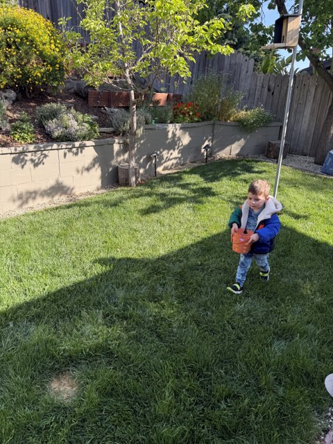 Springtime Adventures in the Backyard