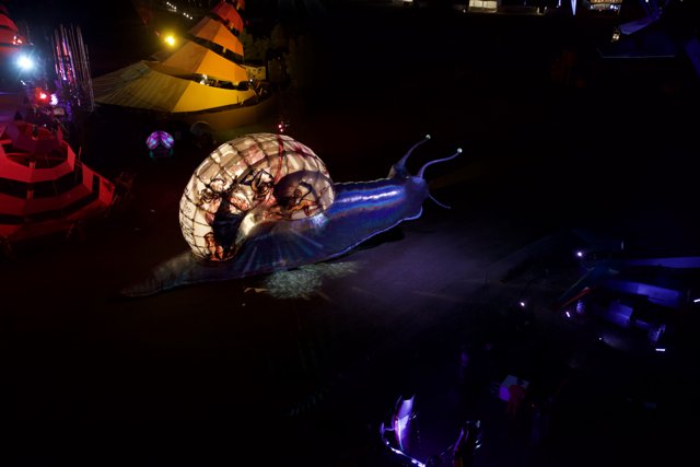 Nighttime Ride on Giant Snail