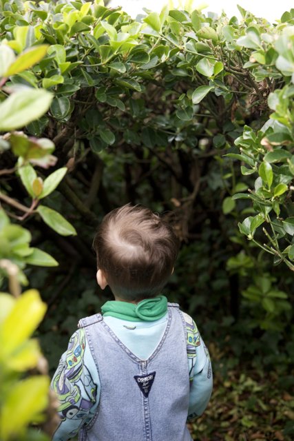 Innocence Amidst Foliage - A Child's Exploration