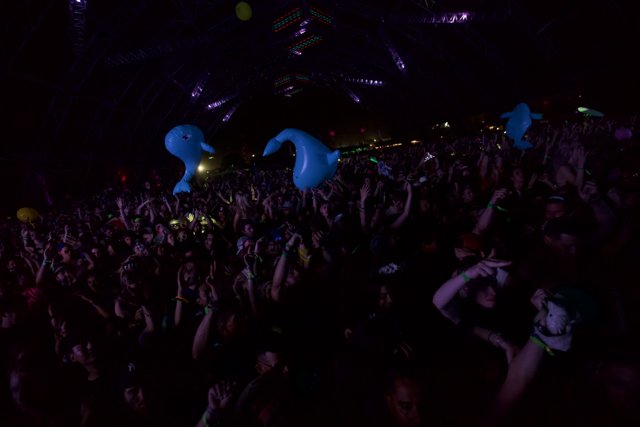 Balloon-filled Nightclub Concert