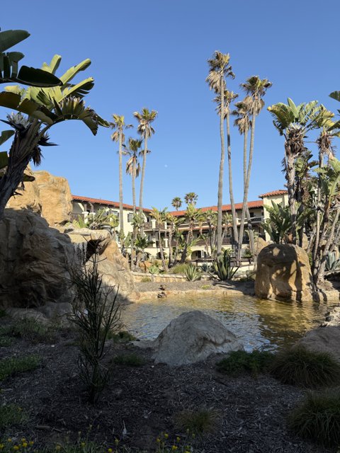 Tranquil Oasis in Oxnard