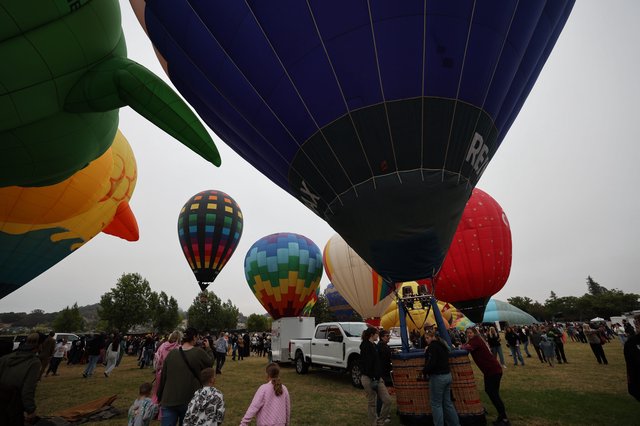 Colorful Hot Air Balloons Fill the Sky at Festival