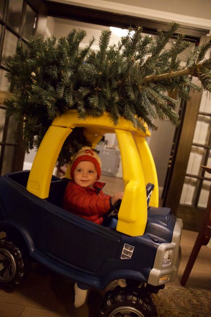 Wesley's Tiny Christmas Adventure