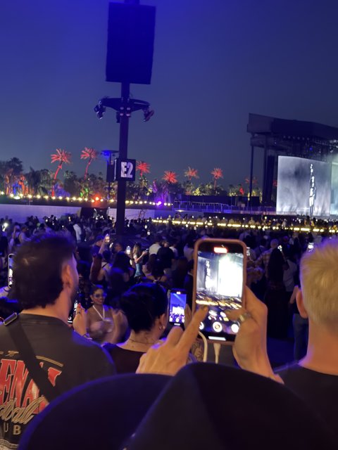 Capturing the Night