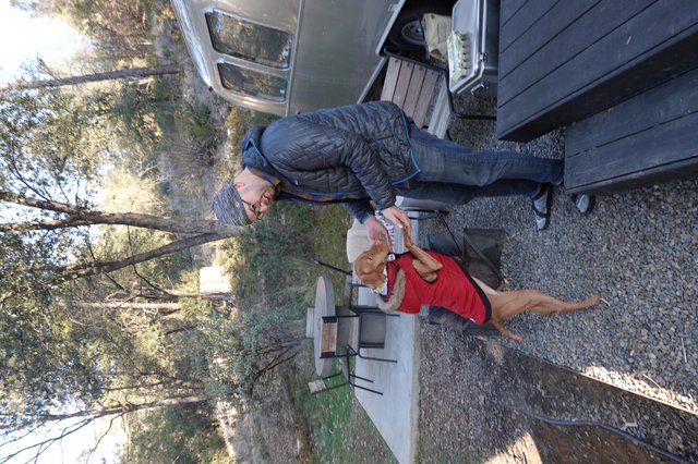 Camping Adventure with Dog and Owner