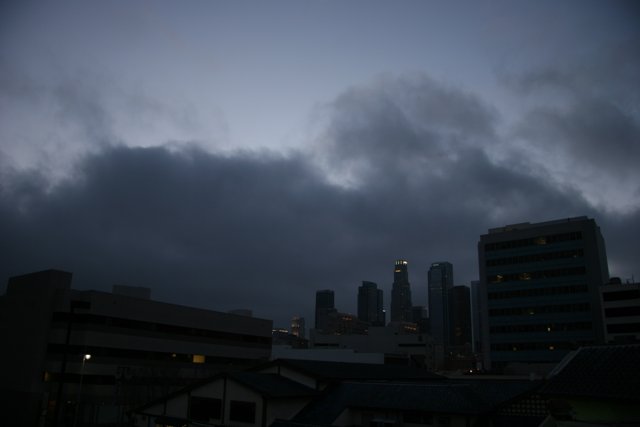 The Metropolis of Los Angeles at Night