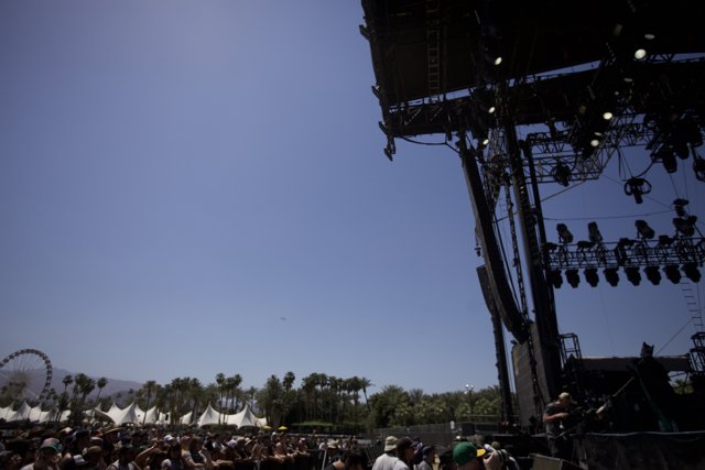 Euphoria at Coachella Festival