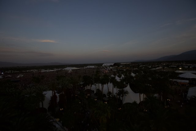 Sunset on Top of the Palms