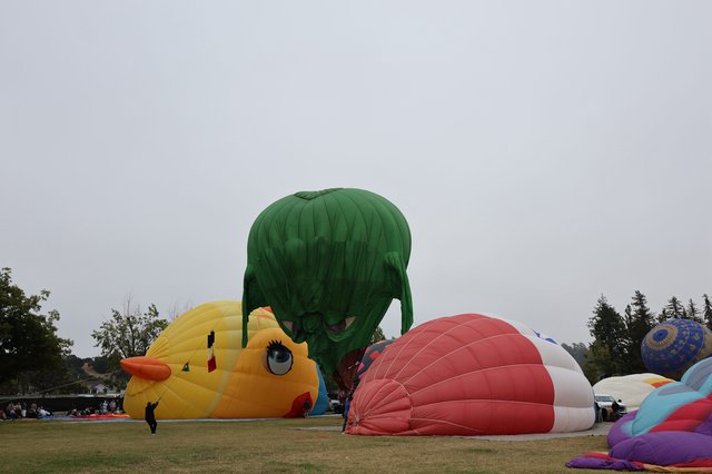 Giant Novelty Balloons Inflate at Sonoma County Classic