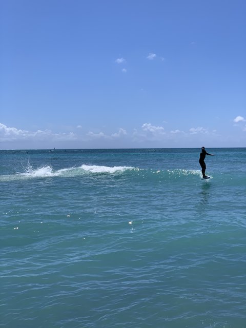 Surfing the Sea Waves at Waikiki Beach