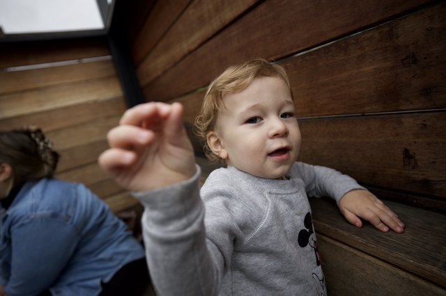 Curious Toddler Reaching Up on Wooden Stairs