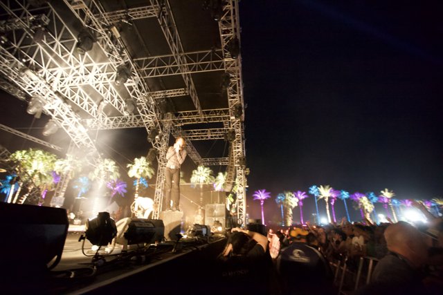 Palm Trees and Music at Coachella 2012