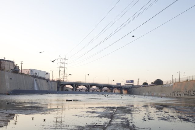 Aerial View of Birds over LA River with Power Lines
