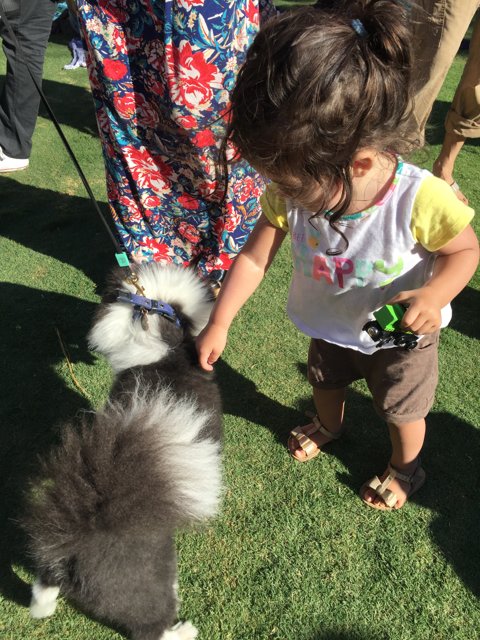 Puppy Love in Grand Park