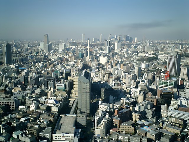 Tokyo Metropolis Skyline from Tokyo Tower
