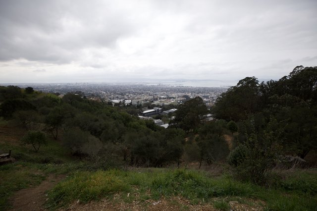 Overcast City View from Hilltop Lookout Point