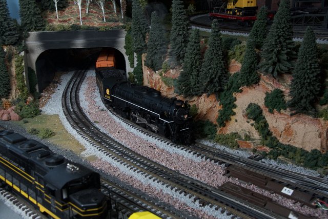 Miniature Train Passing Through Tree-Covered Tunnel