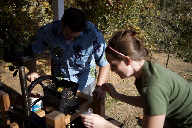 Autumn Apple Pressing at the Orchard Farm