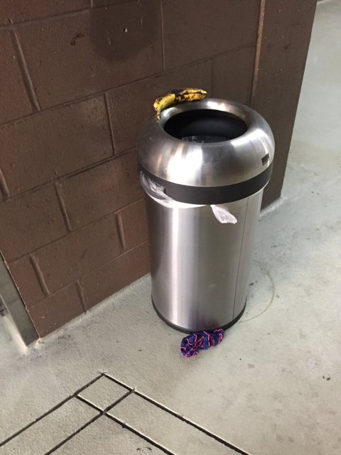 Recycle Bin with Lost Ball