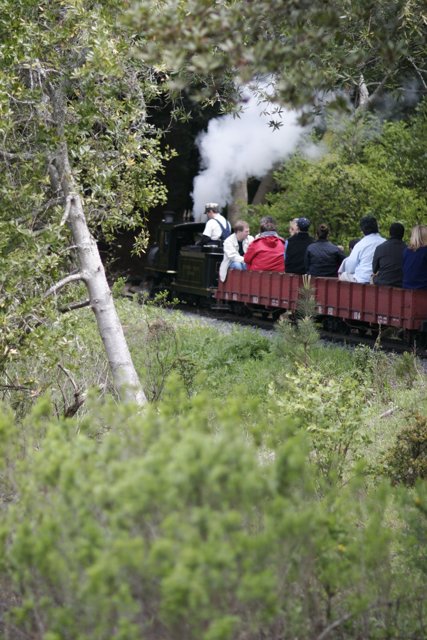 Riding Through the Forest on a Steam Engine Train