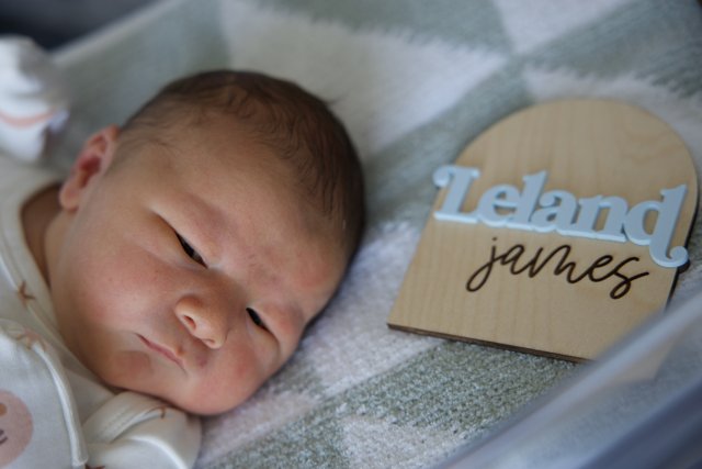 Welcome to the World, Leland