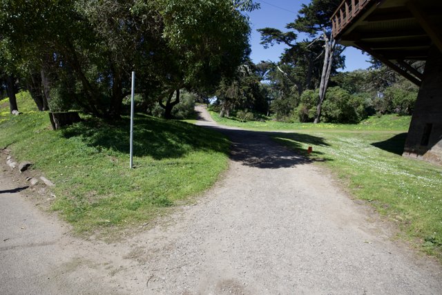 Journey Along the Serene Pathways of Golden Gate Park, 2024