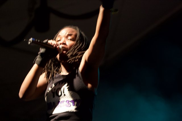Rocking the Crowd: A Dreadlocked Singer's Performance at Coachella 2008