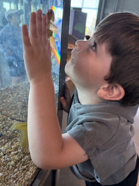 Mesmerized by the Deep