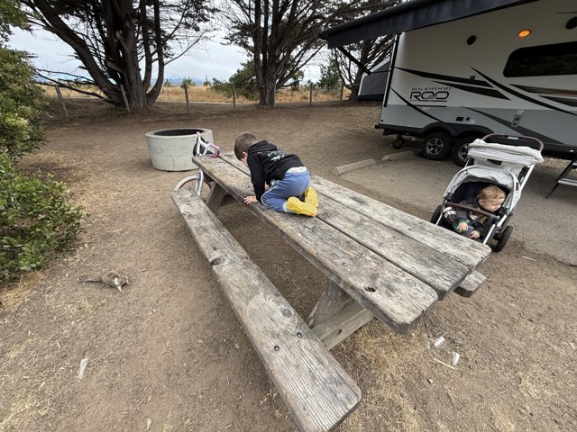 **Curious Explorations in Cambria**