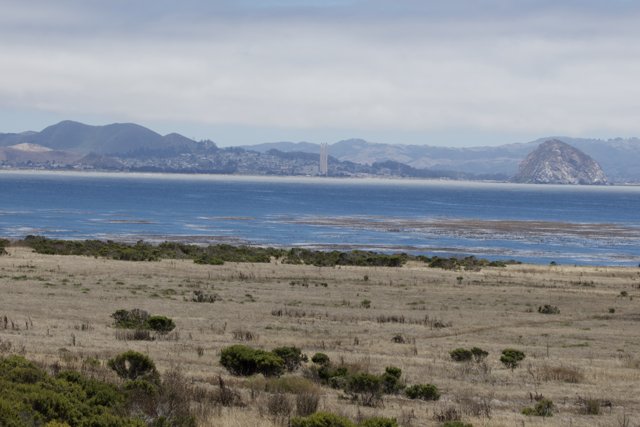 Coastal Serenity in Cayucos