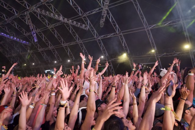 Hands Up High at Coachella