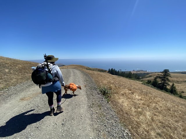 Woman and Dog Trekking Through Californian Hills