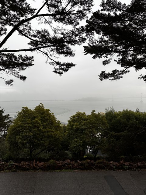 Serene Bay View from Coit Tower Park Bench