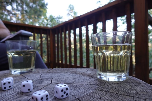 Roll the Dice and Sip on Some Wine