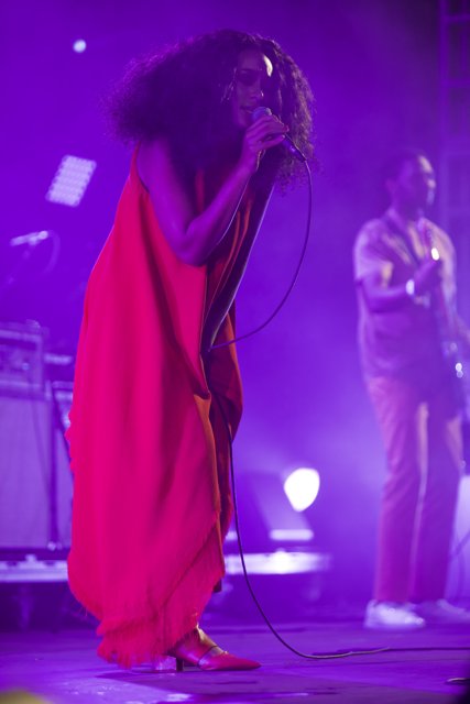 Solange rocks the stage at FYF Fest