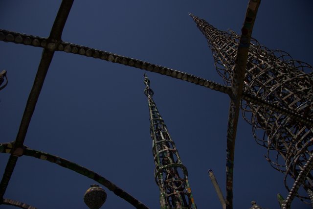 Towering Fun at the Amusement Park